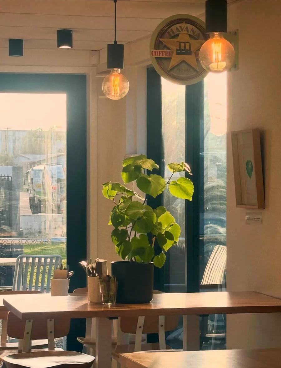 Sunny dining room with hanging lights and a potted plant